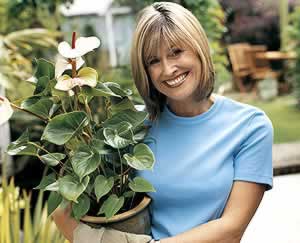 Teatime May Help Prevent Ovarian Cancer: Main Image