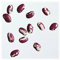 Anasazi Beans: Main Image